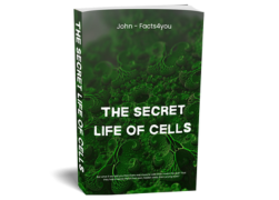 Untitled design (12)